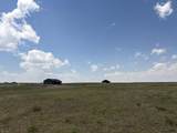 Lot 299 South Carolina Rd - Photo 5