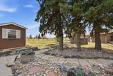 1319 Terry Ranch Rd - Photo 30