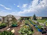 1068 Dan Ranch Rd - Photo 16