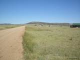 Tract 139 Table Mtn Loop - Photo 6