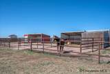 338 Remington Ranch Rd - Photo 31