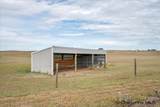 3726 Chuck Wagon Rd - Photo 22