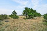 2312 Mugho Rd - Photo 4