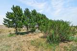 2312 Mugho Rd - Photo 6