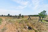 2312 Mugho Rd - Photo 9