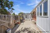 829 Carlson St - Photo 21