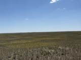 tbd St Hwy 313 - Photo 1