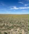 Tract 3 Road 147 - Photo 4