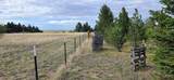 4724 Conrad Rd - Photo 29