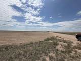 TBD Road 203 - Photo 4