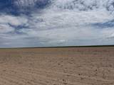 TBD Road 203 - Photo 9