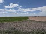 TBD Road 203 - Photo 1