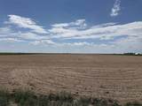 TBD Road 203 - Photo 5