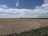 TBD Road 203 - Photo 6