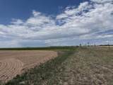 TBD Road 203 - Photo 7