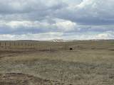 Tract 375 South Rd - Photo 14