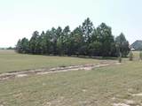 6631 Elizabeth Rd - Photo 28