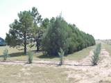 6631 Elizabeth Rd - Photo 29