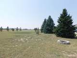 6631 Elizabeth Rd - Photo 30