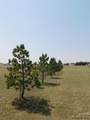 6631 Elizabeth Rd - Photo 33