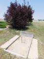 6631 Elizabeth Rd - Photo 34