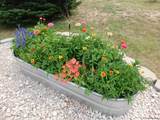 6631 Elizabeth Rd - Photo 35