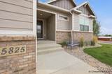5825 Indigo Dr - Photo 2