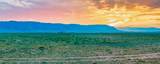 TR 347 Wild Horse Ranch - Photo 10