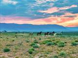 TR 347 Wild Horse Ranch - Photo 20