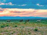 TR 347 Wild Horse Ranch - Photo 21