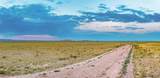 TR 347 Wild Horse Ranch - Photo 23