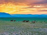 TR 347 Wild Horse Ranch - Photo 3