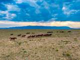 TR 347 Wild Horse Ranch - Photo 34