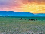 TR 347 Wild Horse Ranch - Photo 8