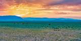 TR 347 Wild Horse Ranch - Photo 9