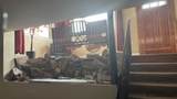 3924 Bevans St - Photo 6
