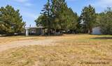 3417 Birch Pl - Photo 24