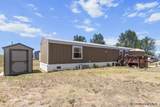 705 Little Valley Trl - Photo 2