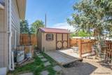 7425 Willshire Blvd - Photo 24