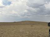 Tr 305 Big Horn Dr - Photo 9