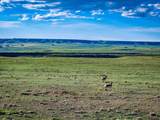 TR 367 Wild Horse Ranch - Photo 7