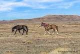 347 Wild Horse Ranch - Photo 10