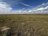 TBD Buggy Rd - Photo 12