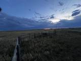 TBD Buggy Rd - Photo 5