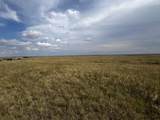 TBD Buggy Rd - Photo 7