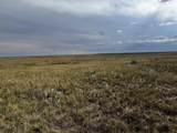 TBD Buggy Rd - Photo 9