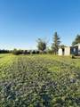 31 Haeberle Dr - Photo 20