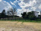 31 Haeberle Dr - Photo 6