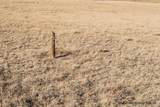 Tract 29 Latigo Loop - Photo 11