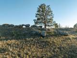 TBD Trapper Trl - Photo 15